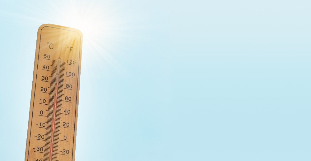 Why running in the heat causes gut issues — and how to avoid them