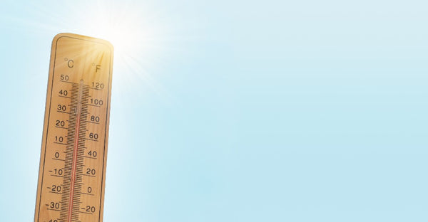 Why running in the heat causes gut issues — and how to avoid them