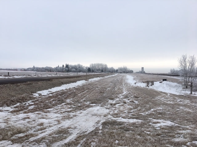 Welcome to Brainsport's 2019 December Run Streak!