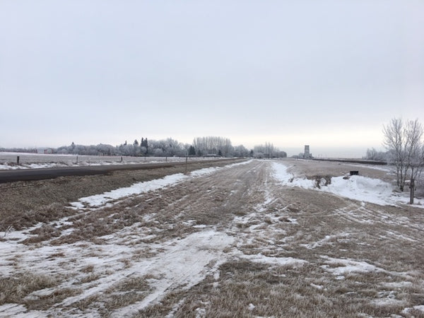 Welcome to Brainsport's 2019 December Run Streak!