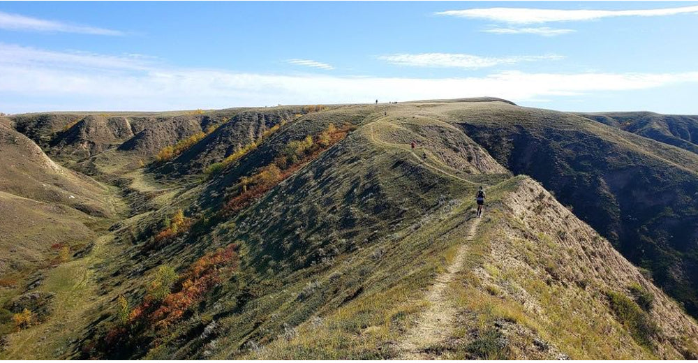 The Beaver Flat 50 course.