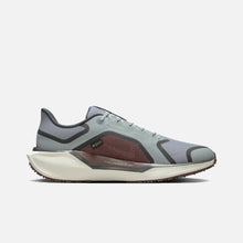 Load image into Gallery viewer, Men&#39;s Pegasus 41 Gore-Tex