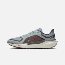 Load image into Gallery viewer, Men&#39;s Pegasus 41 Gore-Tex