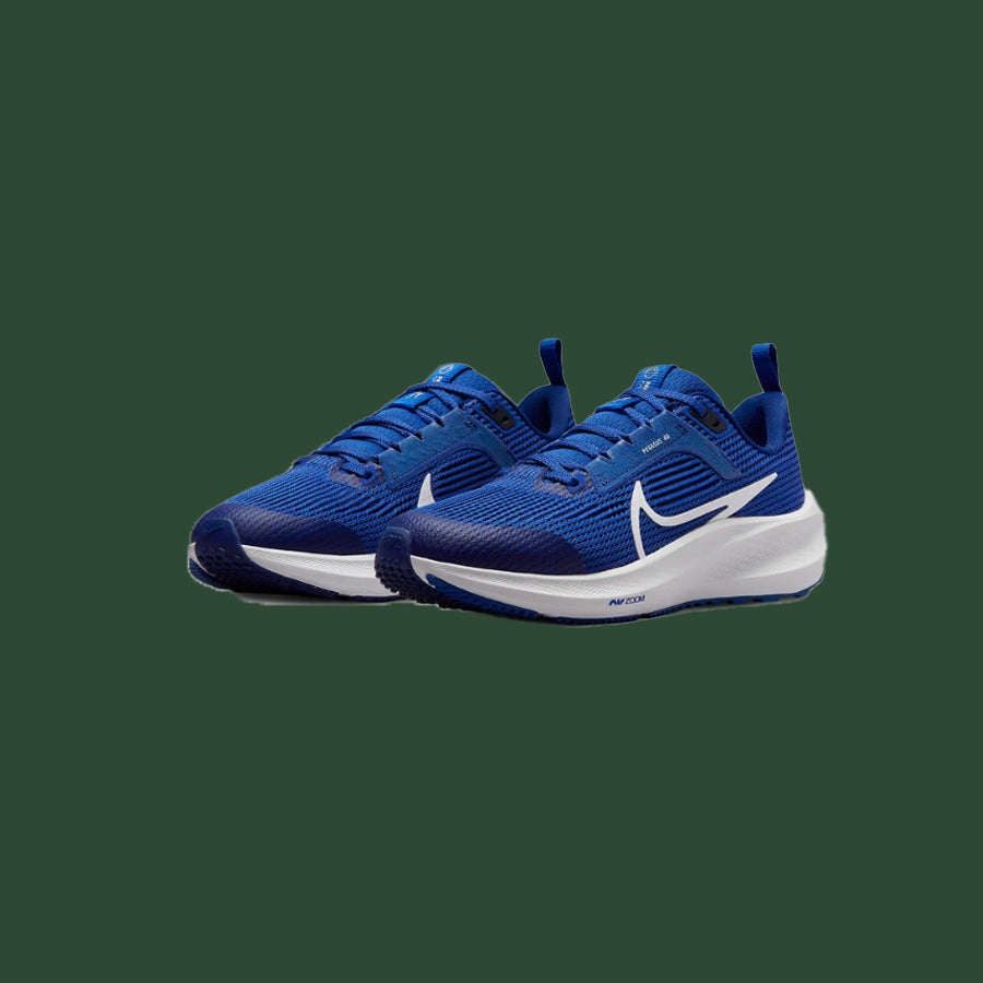 Kids' Nike Air Zoom Pegasus 40