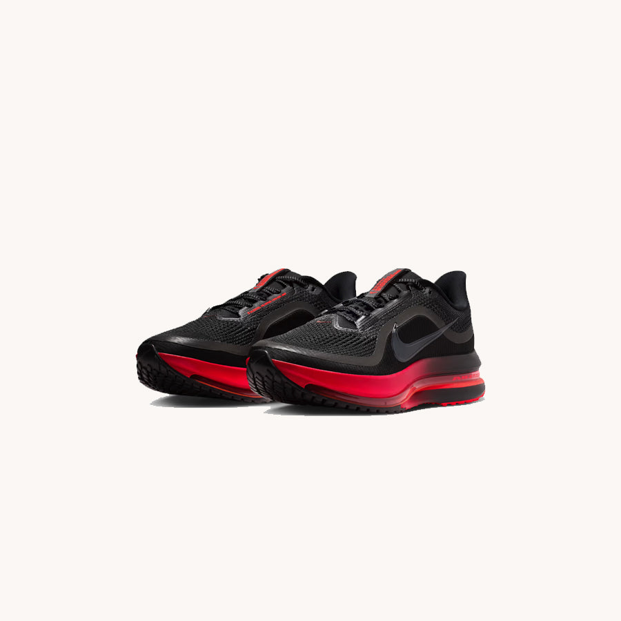 Men's Nike Pegasus Premium