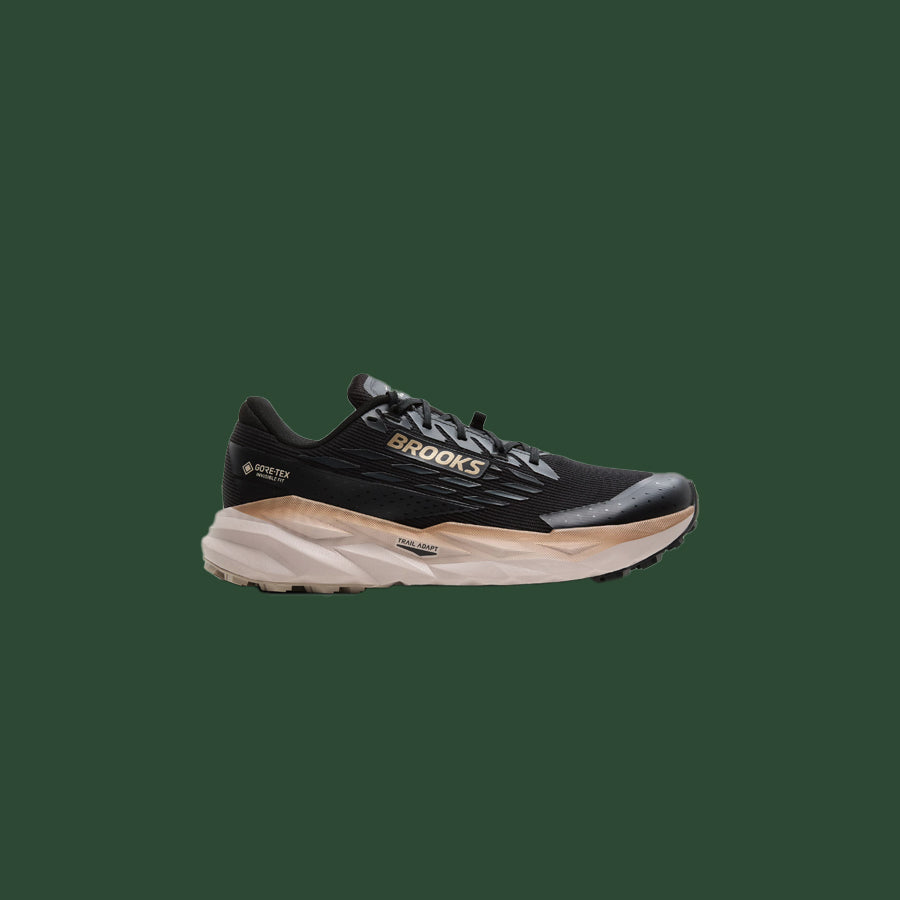 Men's Brooks Cascadia 19 GTX