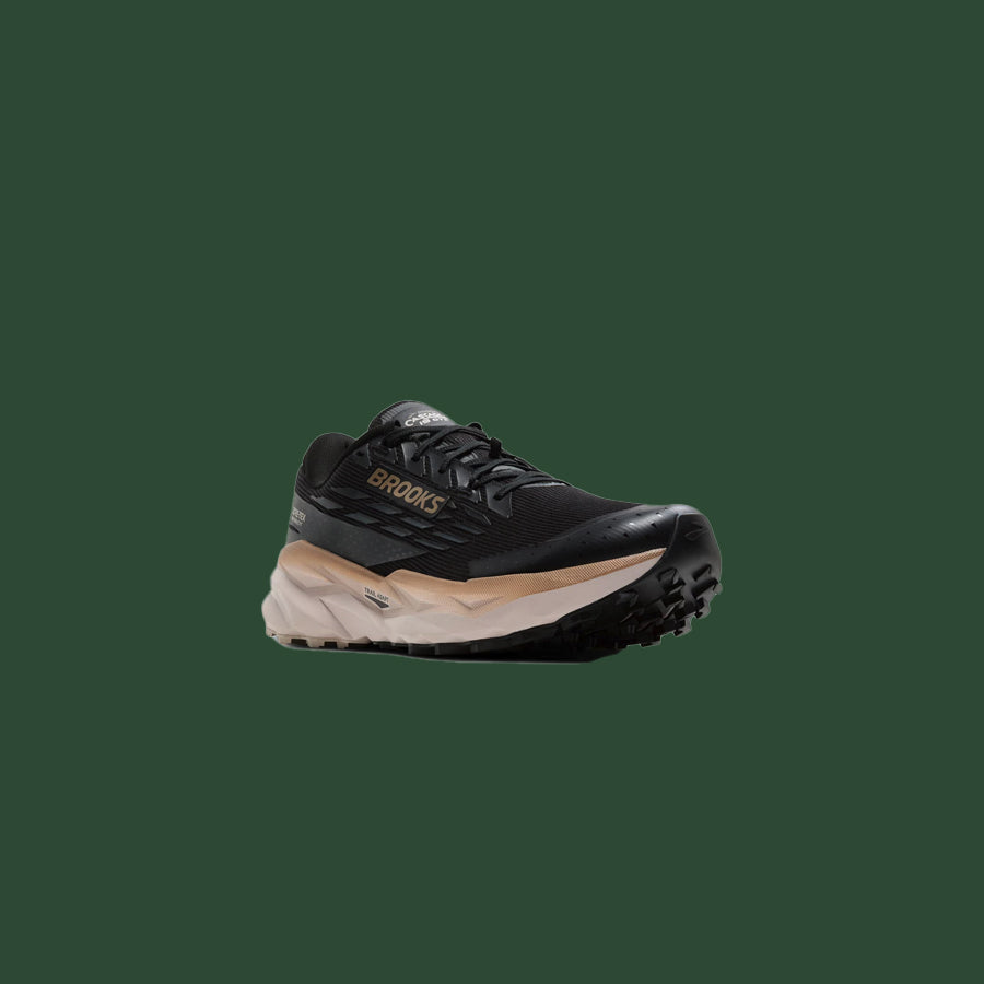 Men's Brooks Cascadia 19 GTX