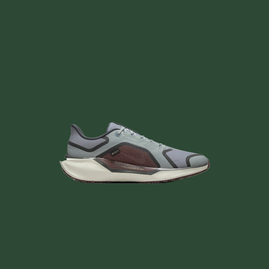 Men's Nike Pegasus 41 Gore-Tex