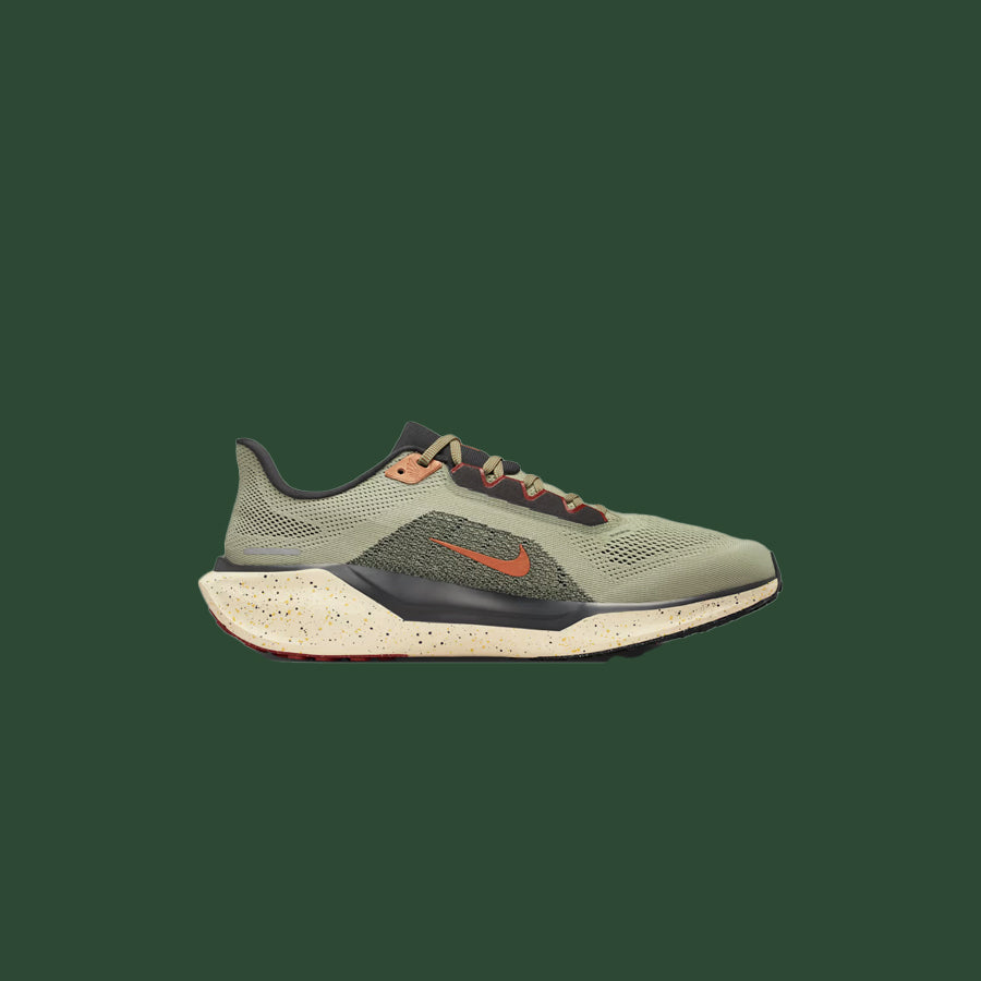 Men's Nike Pegasus 41