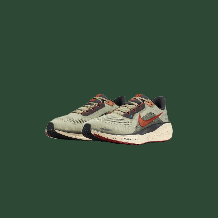 Men's Nike Pegasus 41
