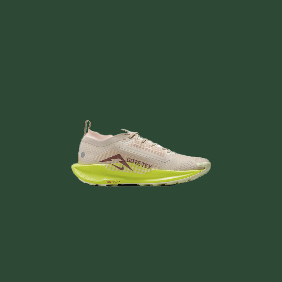 Women's Nike Pegasus Trail 5 GTX